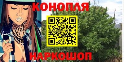 PSILOCYBIN Краснодар